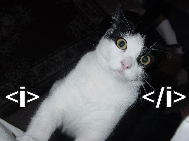 html_cat