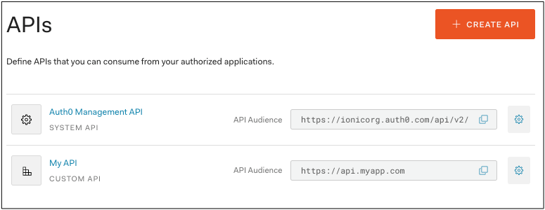Finding the API Audience field